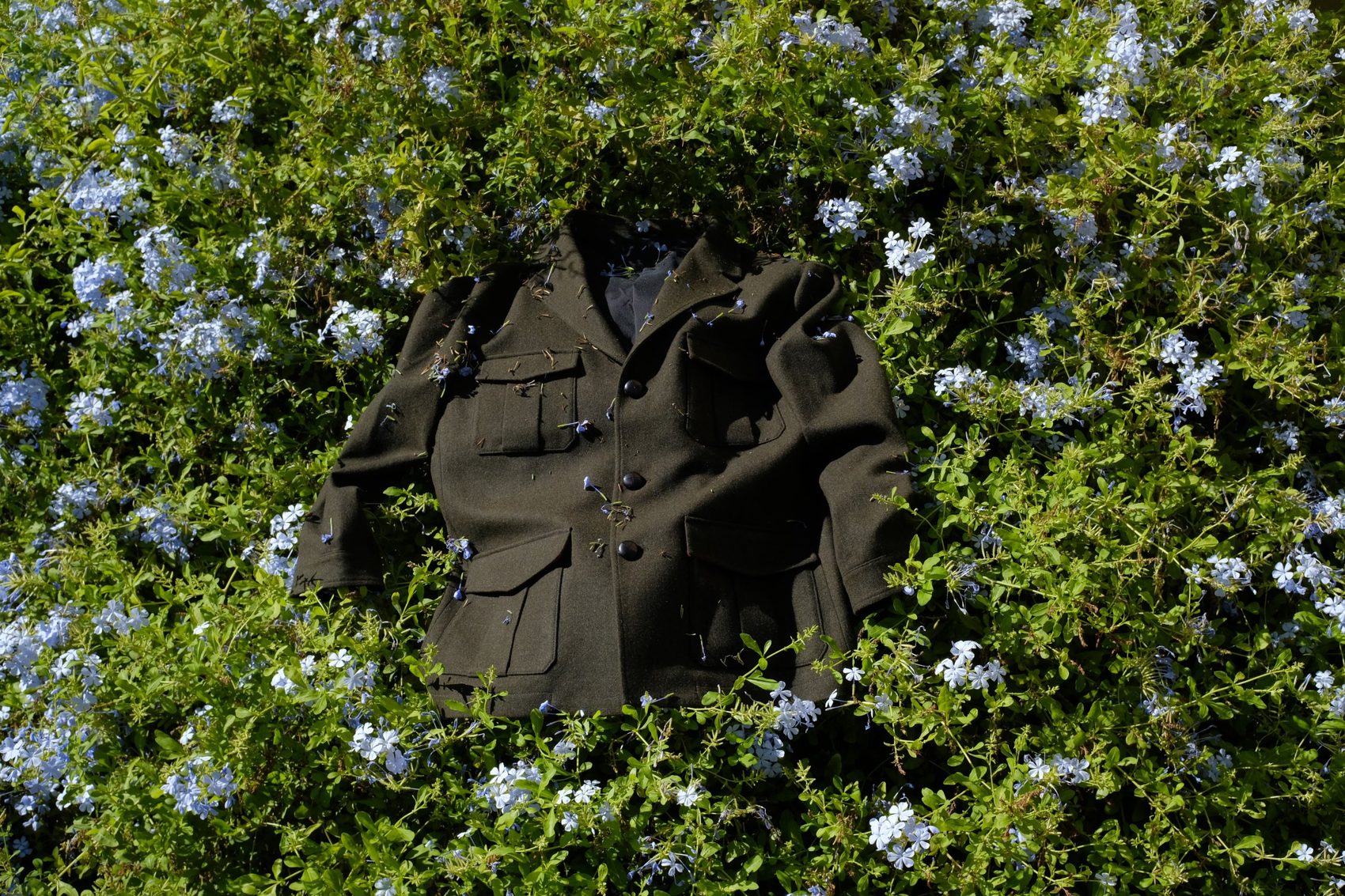 olive jacket seen from above among blue flowers