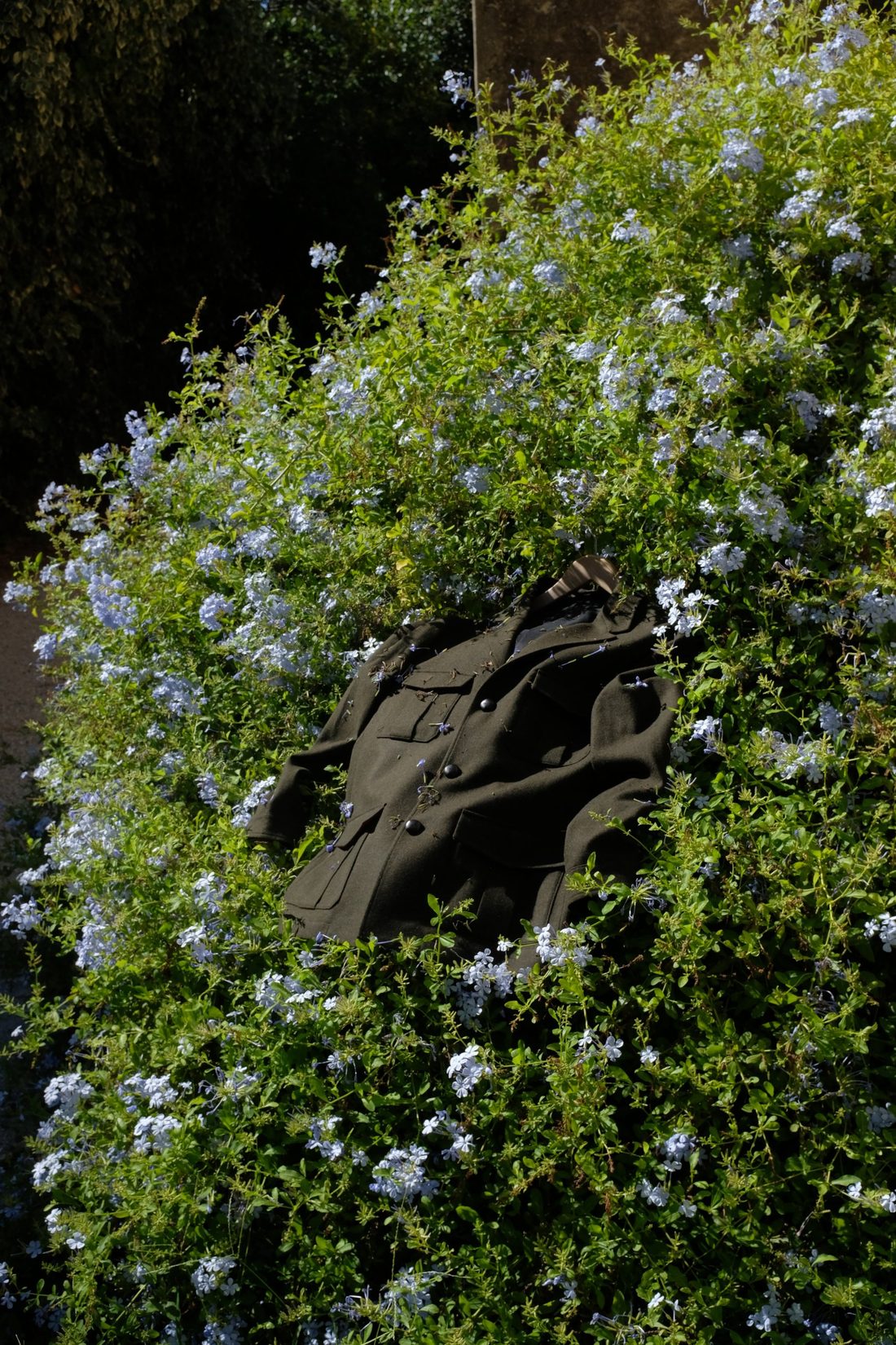 olive jacket lying in a bush of pale blue flowers