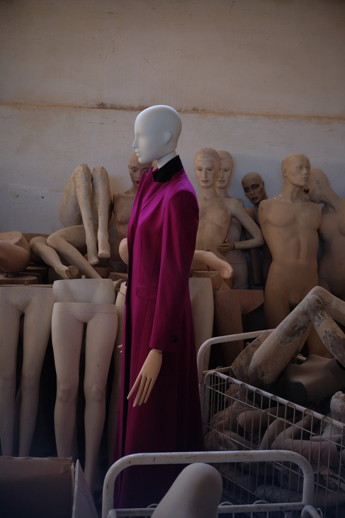 long magenta coat with a black collar