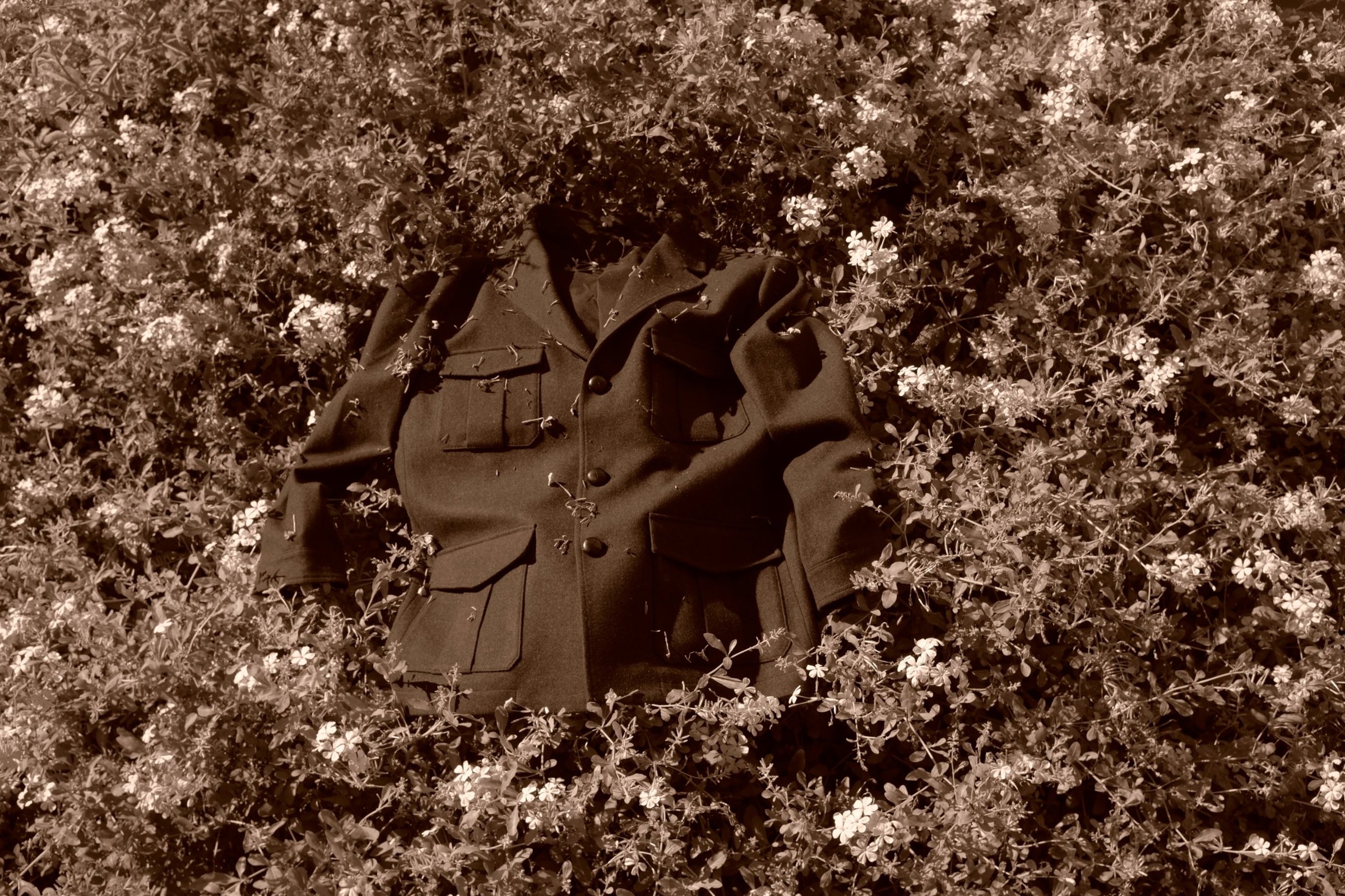 A loden jacket lying in a flowering bush, in sepia